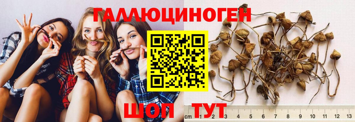 Псилоцибиновые грибы MAGIC MUSHROOMS Надым
