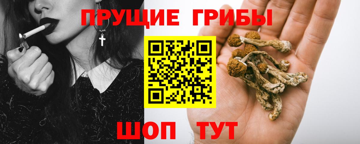 Надым  Галлюциногенные грибы MAGIC MUSHROOMS  Галлюциногенные грибы прущие грибы  Вход с VPN 